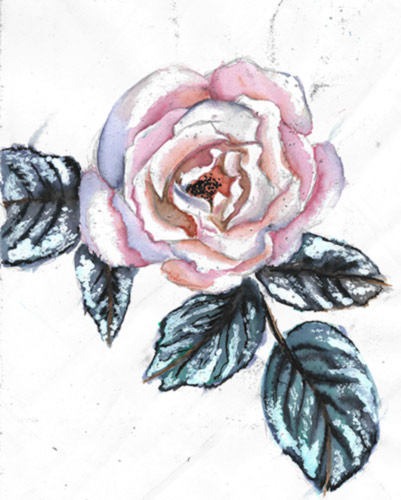 Rose Drawing/Painting scan